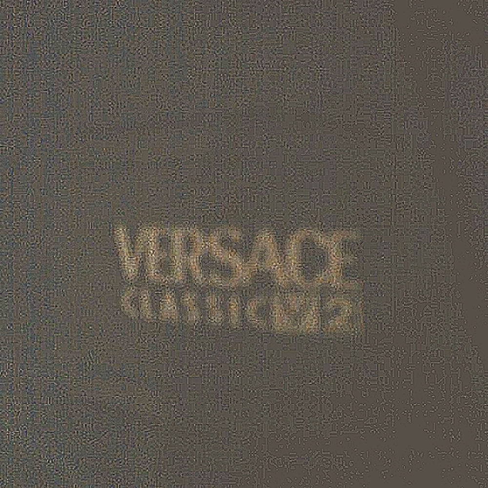 Authentic Versace Classic Jacket - image 4